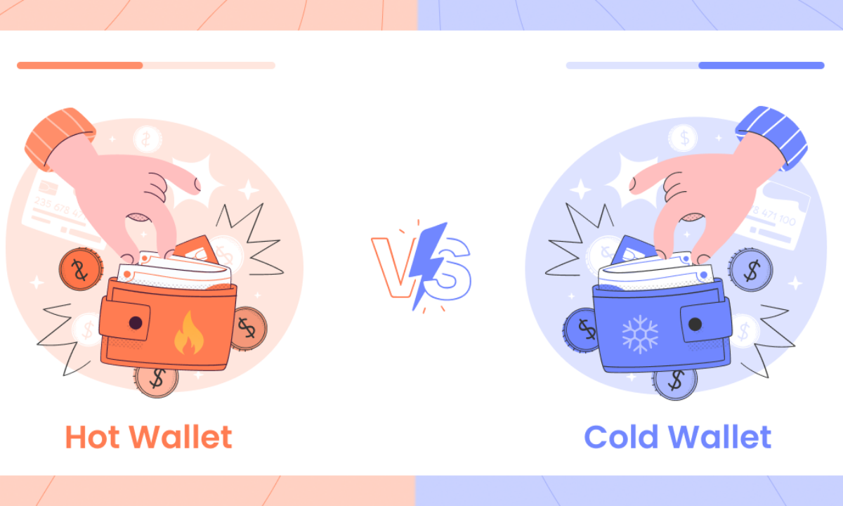 Hot vs Cold Wallets: Which One Should You Use? In 2025